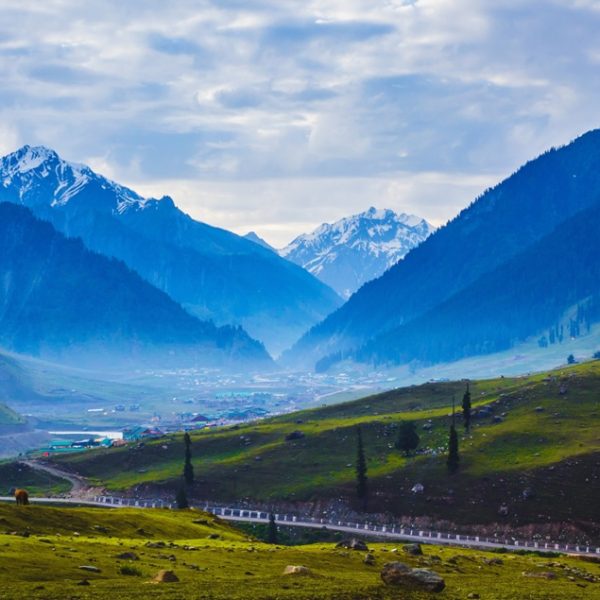 Appreciate and acKnowledge Kashmir's Beauty