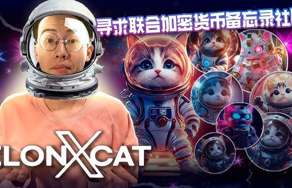 elonxcat