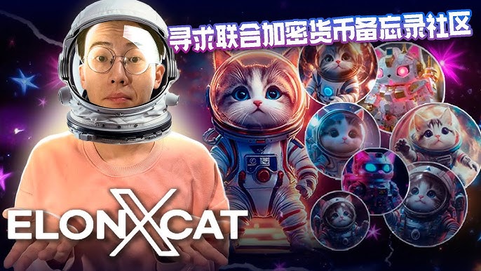 ELONXCAT and Its X Technology: A Meme Coin Connecting BNB Chain, Polygon, and Solana