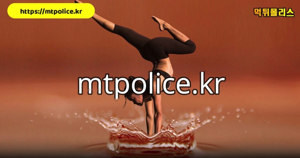 mtpolice.kr site image